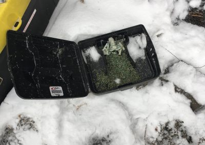 winter pest trap