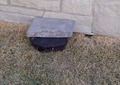 pest removal
