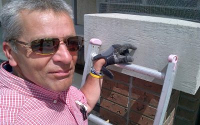 The Impact of Pest Control on Employee Health and Productivity