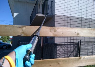 exterminator calgary