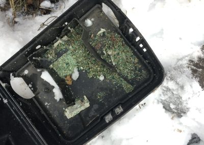 Pest trap calgary