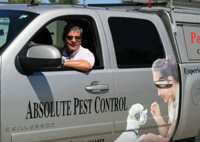 Absolut Pest control