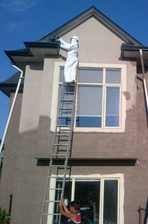 residential pest control