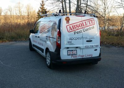 absolut pest control