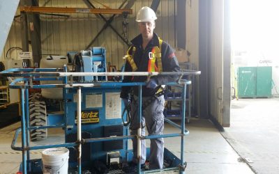 The Importance of Integrated Pest Management in Food Processing Plants